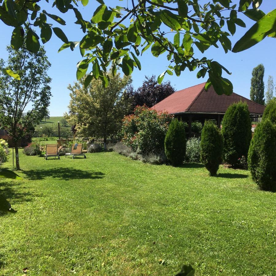 Domaine De La Mance - Maisonnette Avec Cheminee Vitrey-sur-Mance Zewnętrze zdjęcie