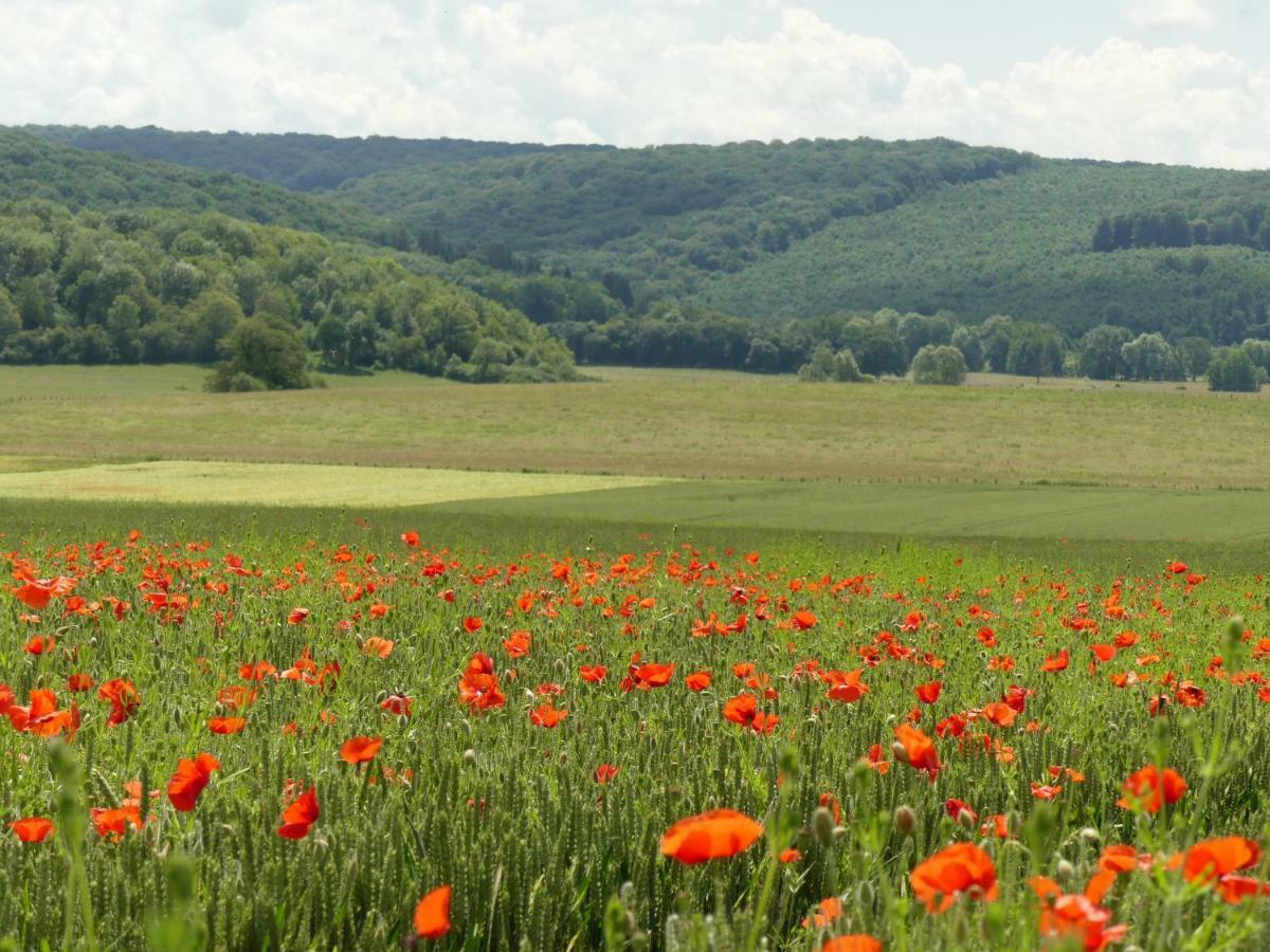 Domaine De La Mance - Maisonnette Avec Cheminee Vitrey-sur-Mance Zewnętrze zdjęcie