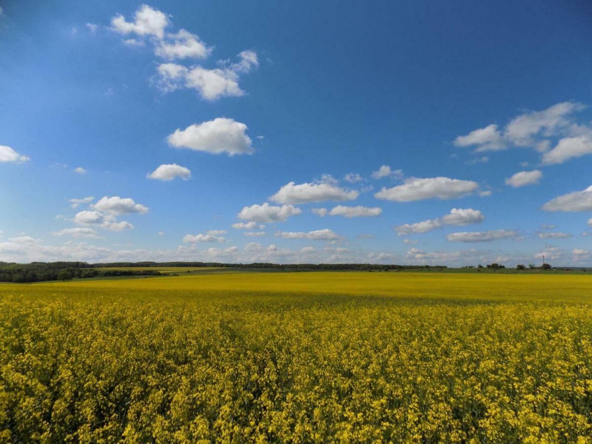 Domaine De La Mance - Maisonnette Avec Cheminee Vitrey-sur-Mance Zewnętrze zdjęcie